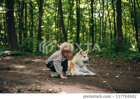 On the pathway. Little boy is with Shiba Inu dog in the forest On the pathway. Little boy is with Shiba Inu dog in the forest 137768982