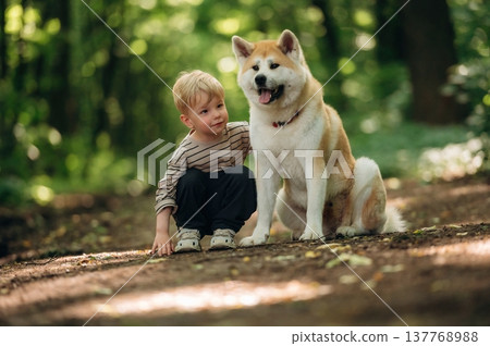 On the pathway. Little boy is with Shiba Inu dog in the forest On the pathway. Little boy is with Shiba Inu dog in the forest 137768988