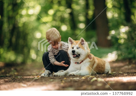 Together, sitting on the ground. Little boy is with Shiba Inu dog in the forest 137768992