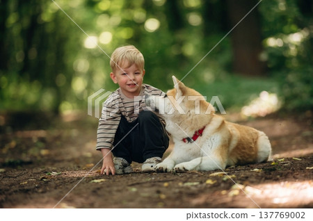 Relaxing, resting while sitting on the ground. Little boy is with Shiba Inu dog in the forest Relaxing, resting while sitting on the ground. Little boy is with Shiba Inu dog in the forest 137769002