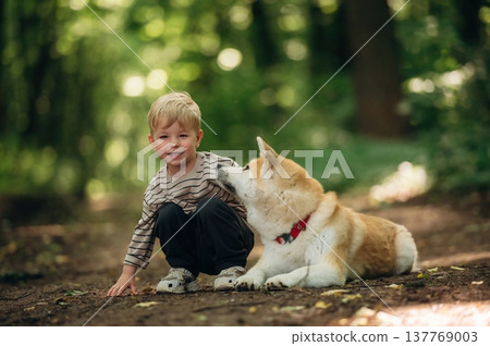 Relaxing, resting while sitting on the ground. Little boy is with Shiba Inu dog in the forest Relaxing, resting while sitting on the ground. Little boy is with Shiba Inu dog in the forest 137769003