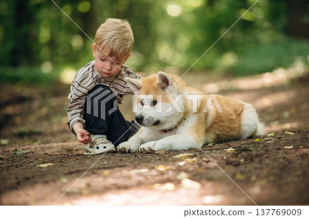 Focused view, on the ground. Little boy is with Shiba Inu dog in the forest 137769009