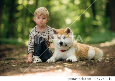 Focused view, on the ground. Little boy is with Shiba Inu dog in the forest 137769010