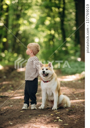 Little boy is with Shiba Inu dog in the forest 137769019
