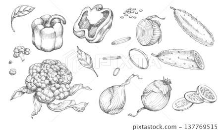 Set of vegetables: onion, bell pepper, cucumbers and cauliflowers. Vector ink styled handmade illustration. For packaging design, cards, cover, prints, product labels and fabric. Set of vegetables: onion, bell pepper, cucumbers and cauliflowers. Vector ink styled handmade illustration. For packaging design, cards, cover, prints, product labels and fabric. 137769515