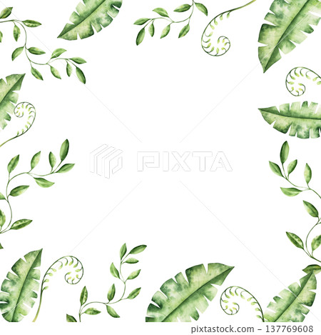 Branch with leaves frame. Watercolor fern with coiled frond with leaves, hand drawn pastel climbing green liana. Isolated botanical illustration on transparent background. Perfect for tropical design 137769608
