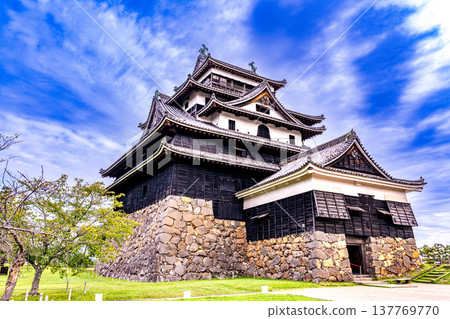 [Japan's Top 100 Castles] Autumn scenery of Matsue Castle: National Treasure keep viewed from the main keep (2) Matsue City, Shimane Prefecture 137769770