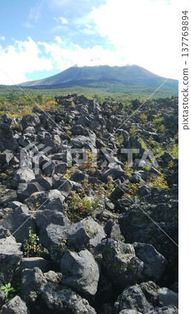 從群馬縣鬼押出公園看到的淺間山和火山爆發形成的景觀。 137769894