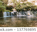 輕井澤白瀑瀑布 137769895
