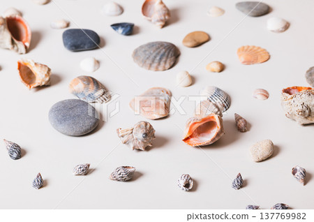 Beautiful pastel background of seashells and pebbles on a light Beautiful pastel background of seashells and pebbles on a light 137769982