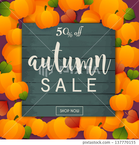 Autumn Sale Banner. Poster, Flyer, Vector. Pumpkins and leafs on a background. 137770155