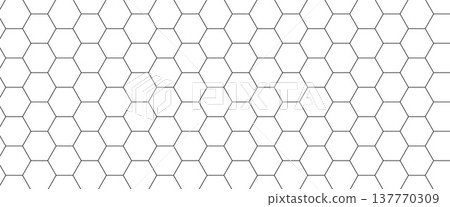 Fiber hexagon outline on black carbon background for tech branding. Clean white hexagon geometric honeycomb grid for technology design. Black fiber vector background for sport and futuristic print Fiber hexagon outline on black carbon background for tech branding. Clean white hexagon geometric honeycomb grid for technology design. Black fiber vector background for sport and futuristic print 137770309