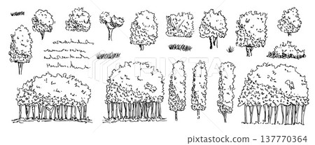 Tree, grass, bushes sketch elements. Ink pen park floral forms illustration. Vintage forest shrubs, ink landscape vector shrub shapes. Garden bushes silhouette isolated on white background 137770364