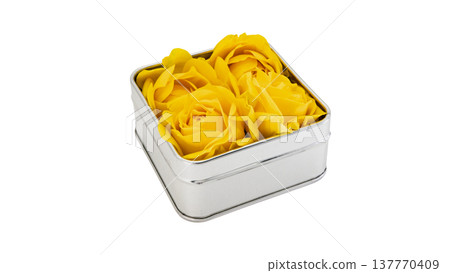 Yellow rose, silver box, transparent background, macro Yellow rose, silver box, transparent background, macro 137770409