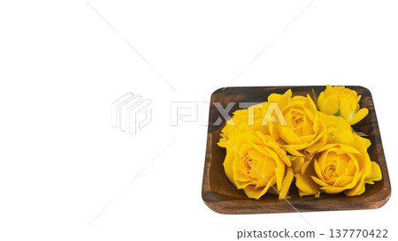 Yellow rose macro, transparent background Yellow rose macro, transparent background 137770422