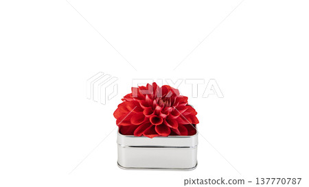 Red dahlia macro with transparent background 137770787