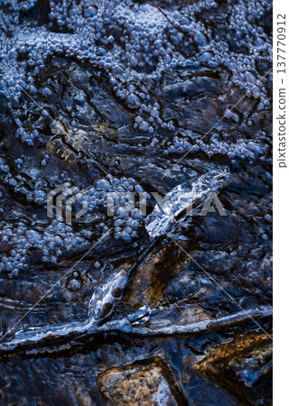 Foam and ice flakes [Nagano Prefecture] 137770912