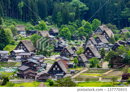 Scenery of Shirakawa-go, Gifu Prefecture 137770933