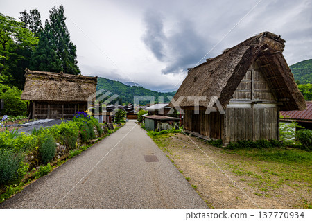 岐阜縣白川鄉的風景 137770934