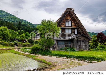 岐阜縣白川鄉的風景 137770937