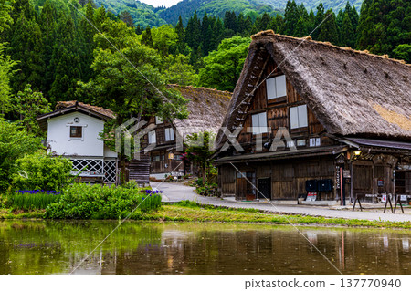 Scenery of Shirakawa-go, Gifu Prefecture 137770940
