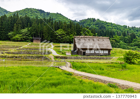 岐阜縣白川鄉的風景 137770943