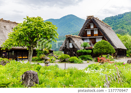Scenery of Shirakawa-go, Gifu Prefecture 137770947