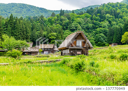 岐阜縣白川鄉的風景 岐阜縣白川鄉的風景 137770949