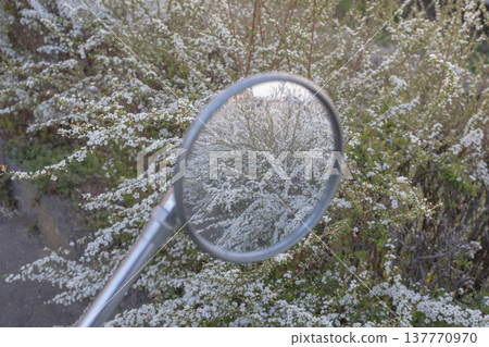 斯皮雷亞山的倒影映在摩托車的圓形後視鏡裡。 137770970