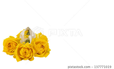 Yellow roses and crystals in harmony; transparent background. Yellow roses and crystals in harmony; transparent background. 137771019