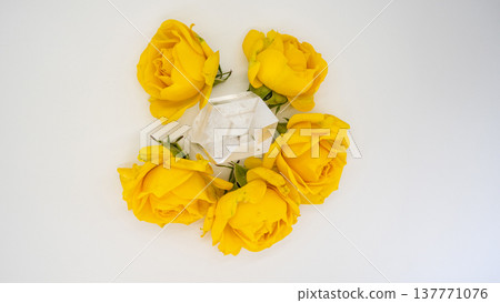 Yellow roses and clear crystals on a white background. Yellow roses and clear crystals on a white background. 137771076