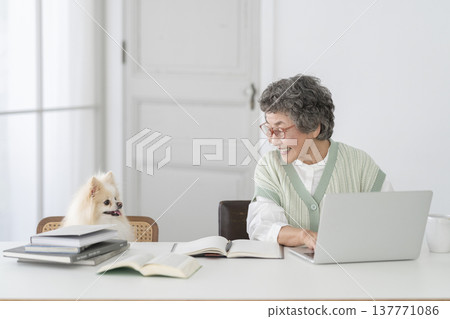 A senior woman who works at a desk and her beloved dog A senior woman who works at a desk and her beloved dog 137771086