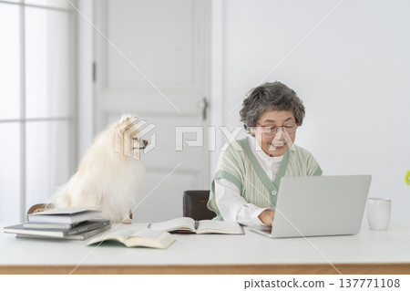 A senior woman who works at a desk and her beloved dog A senior woman who works at a desk and her beloved dog 137771108