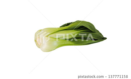 Bok choy macro, transparent background, cooking ingredient Bok choy macro, transparent background, cooking ingredient 137771158