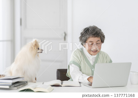 A senior woman who works at a desk and her beloved dog A senior woman who works at a desk and her beloved dog 137771168