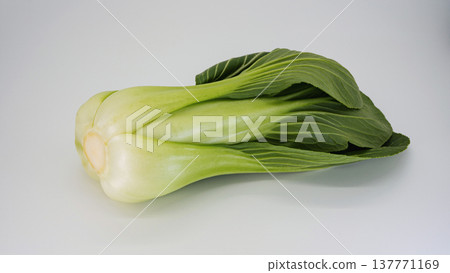 Bok choy macro white background cooking ingredient Bok choy macro white background cooking ingredient 137771169