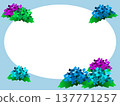 Arranged hydrangeas 137771257