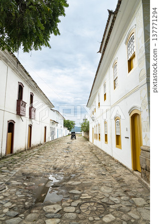 Vertical view of a colonial cobblestone street with horse carriage 137771294