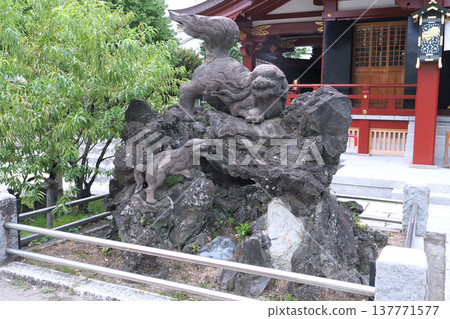 須佐之男神社的守護獅犬(東京荒川區) 須佐之男神社的守護獅犬(東京荒川區) 137771577