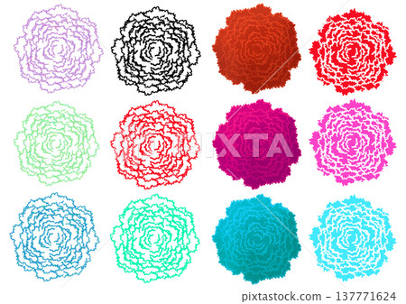 Carnation floral pattern 137771624