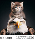 A kitten sits on the head of a bald eagle, gazing into the distance together. 137771830