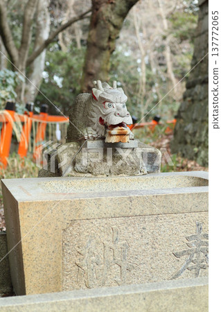 神社淨化泉旁的龍像 神社淨化泉旁的龍像 137772065