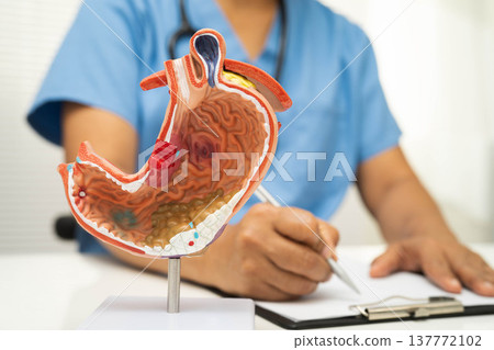 Stomach disease, doctor holding anatomy model for study diagnosis and treatment in hospital. 137772102