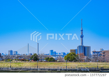 View of the Skytree from the riverbank under the clear blue sky 137772287