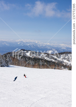 長野縣志賀高原冬季雪景 長野縣志賀高原冬季雪景 137772395