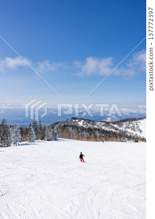 長野縣志賀高原冬季雪景 137772397