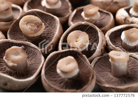Close up of fresh crimini mushroom or baby bella mushroom background Close up of fresh crimini mushroom or baby bella mushroom background 137772576