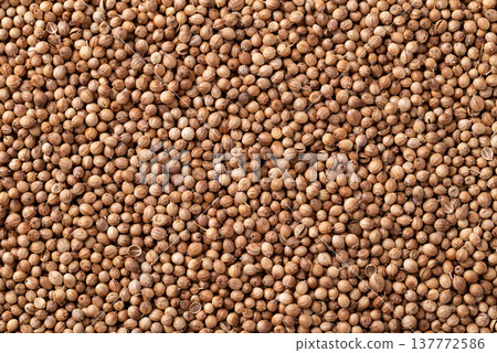 Close up of coriander seeds texture for background, Thai food ingredients Close up of coriander seeds texture for background, Thai food ingredients 137772586