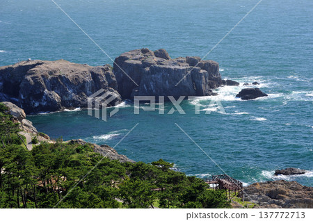 Izumo Kyojima Shrine 137772713