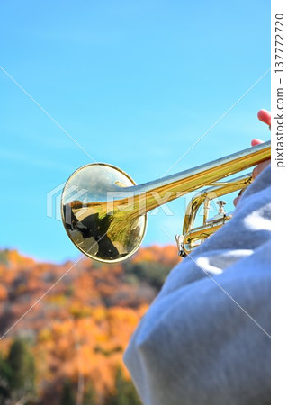 A clear blue sky and a trumpet 137772720